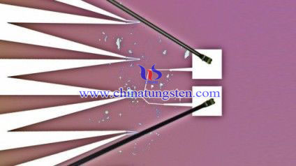 �������u