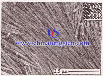 WO3�{�׾����Ƃ�