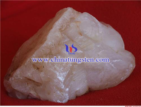 �u���V�Ճ��DƬ