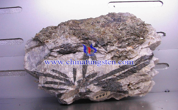 ���u���V�DƬ