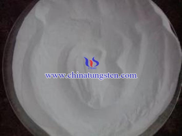 ���u���@�DƬ