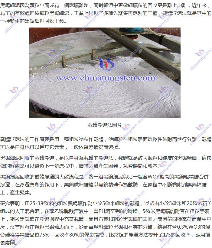 黑鎢細(xì)泥回收-載體浮選法圖片