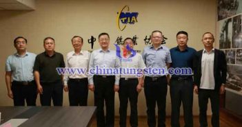 葛紅林書記一行到鎢協(xié)調研指導工作圖片