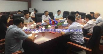 鎢協(xié)會長丁學全一行到江西調研圖片