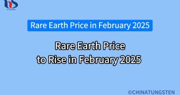 rare earth price to rise in february 2025