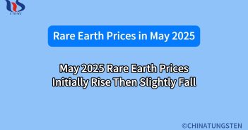 What is the rare earth market in May 2025