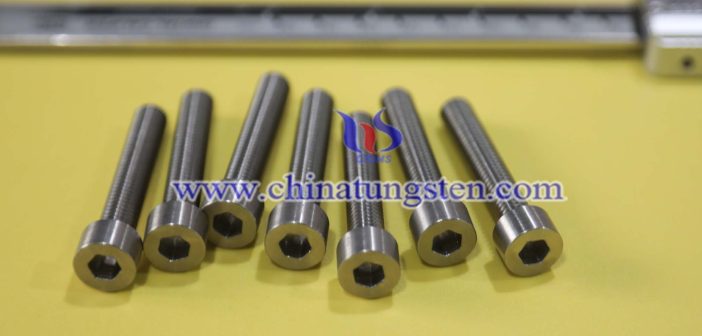 Tungsten Alloy Screw photo
