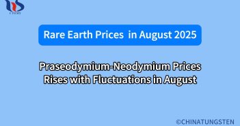 What will the rare earth market look like in august 2025