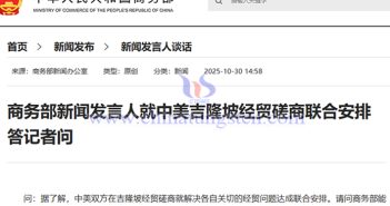 Announcement on Suspending Implementation of Rare Earth Export Controls for One Year