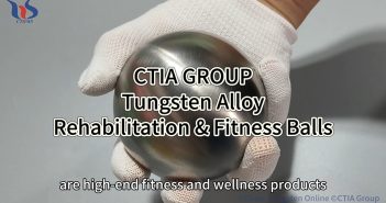 CTIA GROUP Tungsten Alloy Rehabilitation & Fitness Balls