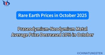 What will the rare earth price be in october 2025