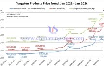 Tungsten Price Trend from January 2025 to January 2026