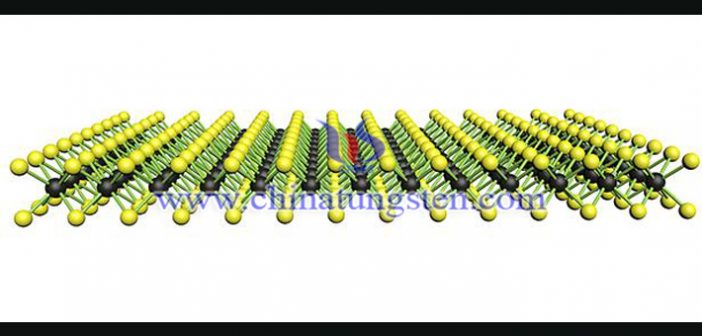 二硫化タングステンとは？