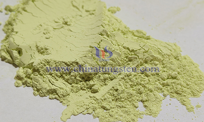 ?? ??? ?? ??? ?????? ????