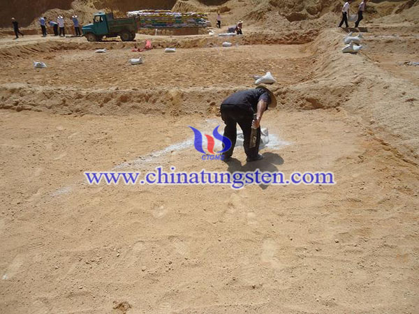 �Ƿ��_(k��i)��ϡ���DƬ