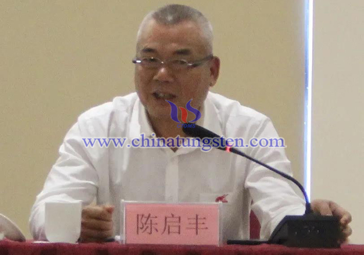 中國鎢業(yè)協(xié)會主席團(tuán)執(zhí)行主席、廣東翔鷺鎢業(yè)股份有限公司董事長陳啟豐