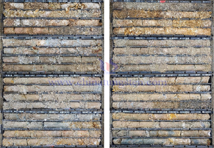 攀西環(huán)單溝稀土礦體圖片（圖源：地調(diào)局資源所）