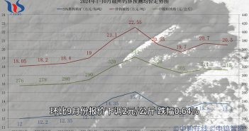 贛州鎢協(xié)2024年10月份國內鎢市預測均價