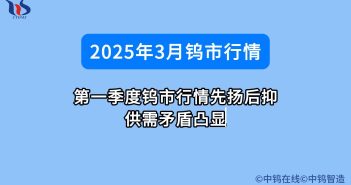 2025年3月鎢市行情如何
